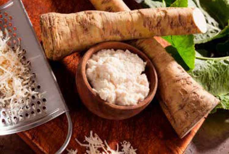Horseradish