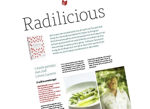 Radilicious book